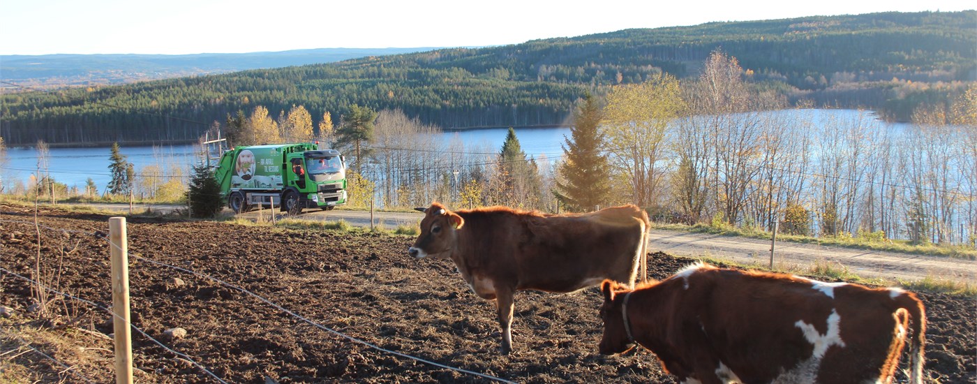 SOLØR RENOVASJON IKS